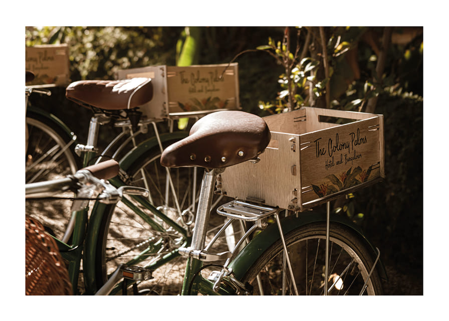 Des vélos baignés de soleil dans une harmonie intemporelle-12