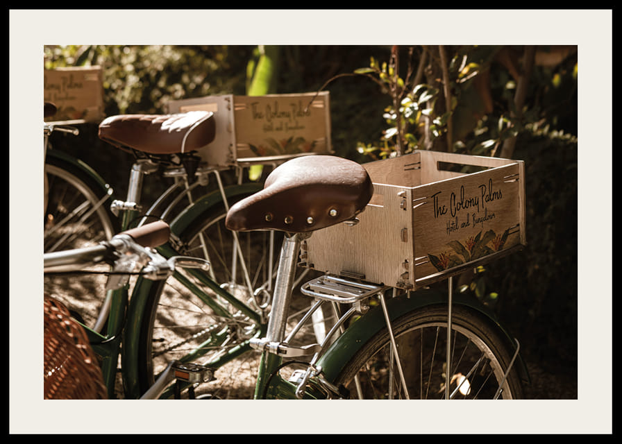Des vélos baignés de soleil dans une harmonie intemporelle-12