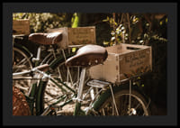 Des vélos baignés de soleil dans une harmonie intemporelle-4