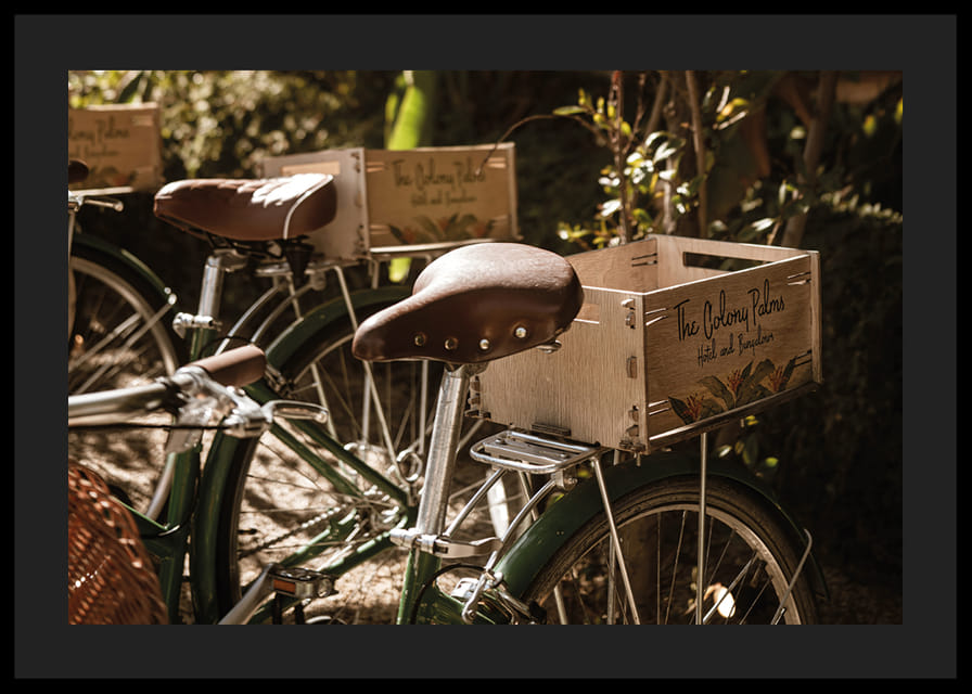 Des vélos baignés de soleil dans une harmonie intemporelle-12