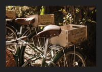 Des vélos baignés de soleil dans une harmonie intemporelle-5