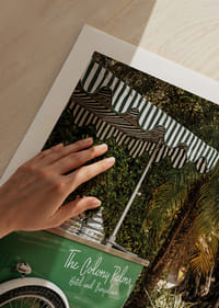 Calèche élégante dans un cadre tropical-9