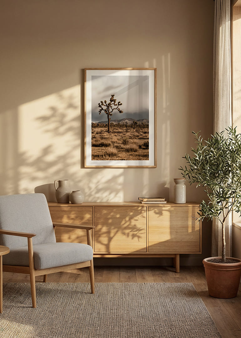 Arbre de Josué emblématique dans l'immensité-12