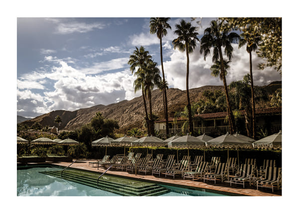 Affiche Poolside Palms