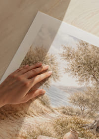 O alee liniștită mărginită de măslini, lângă mare.-9