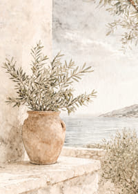 Peisaj mediteranean cu ramuri de măslin și tonuri deschise.-7