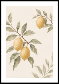 Simplitatea armonioasă a lămâii îți îmbogățește casa.-0