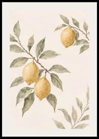 The harmonious simplicity of lemon enhances your home.-2