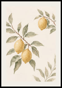 Simplitatea armonioasă a lămâii îți îmbogățește casa.-2