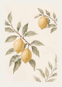 Citronens harmoniska enkelhet förhöjer ditt hem.-3