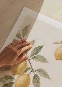 Simplitatea armonioasă a lămâii îți îmbogățește casa.-9