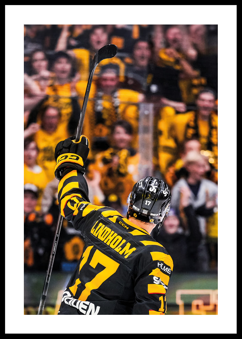 Pär Lindholm SM-Final Skellefteå AIK 2026-12