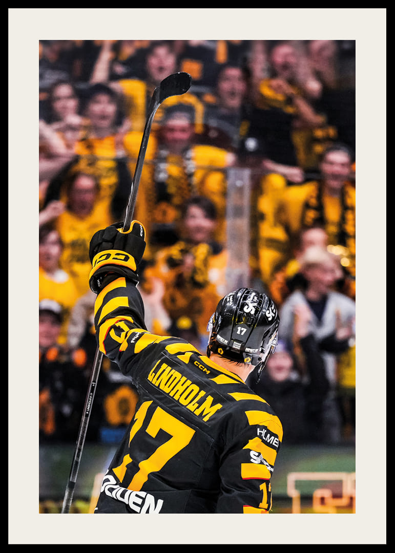 Pär Lindholm SM-Final Skellefteå AIK 2026-12