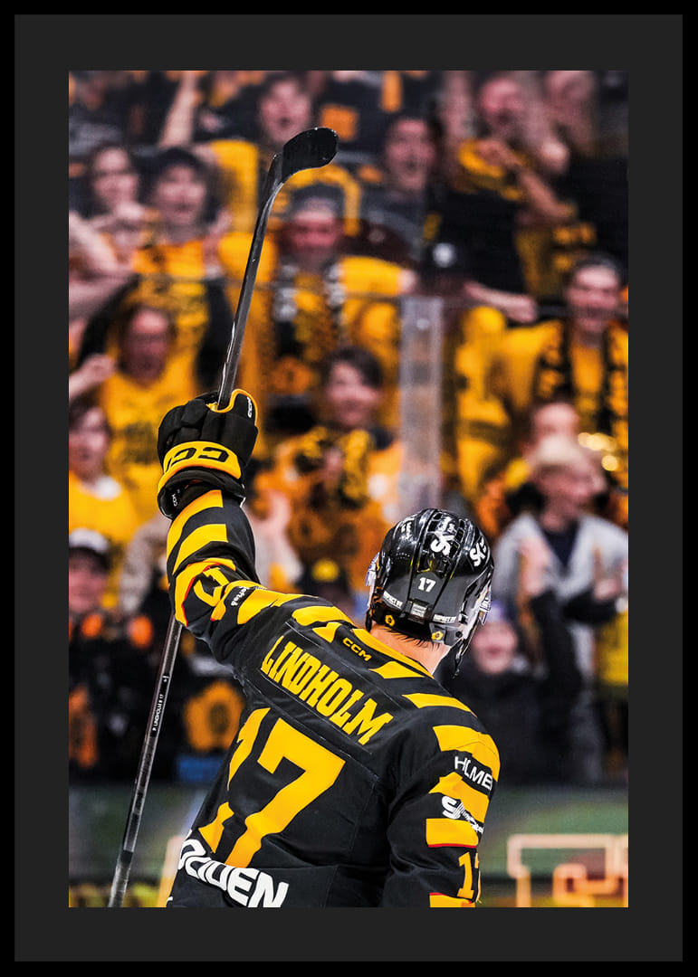 Pär Lindholm SM-Final Skellefteå AIK 2026-12