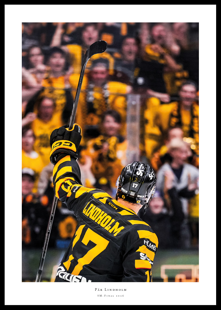 Pär Lindholm SM-Final Skellefteå AIK 2026-12