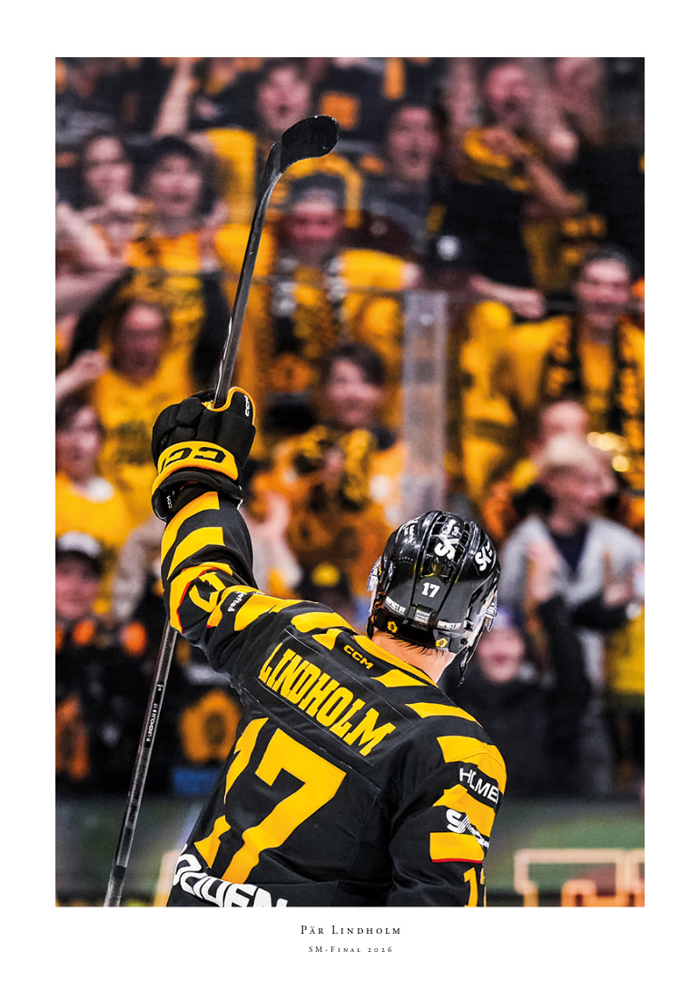 Pär Lindholm SM-Final Skellefteå AIK 2026-12