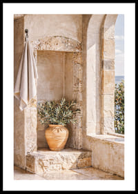 Een gezellig hoekje met een olijfpot in de zon.-0