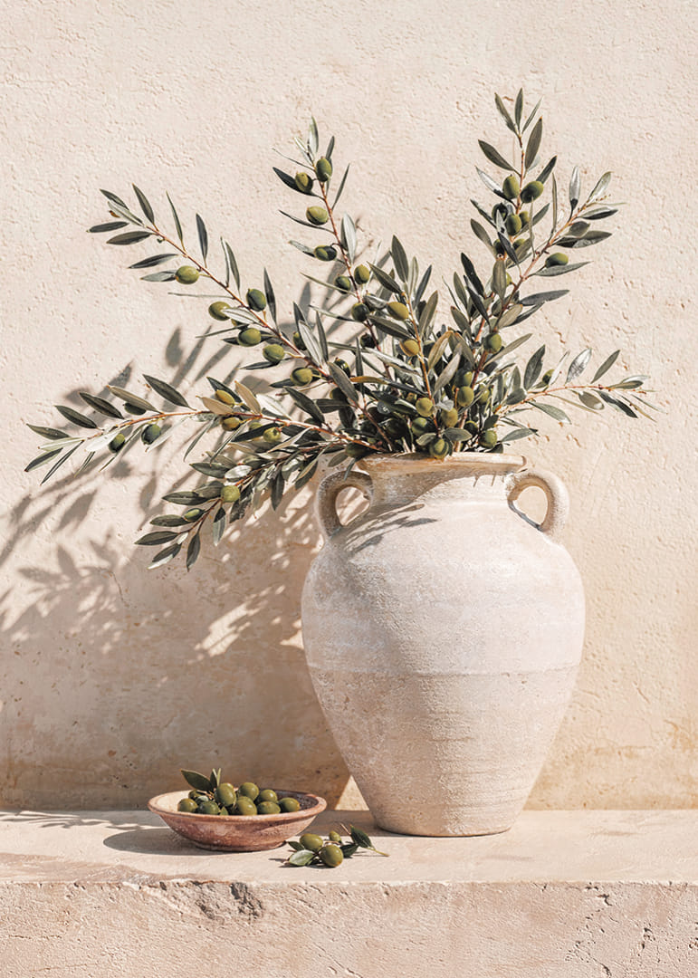 De mediterrane schoonheid van olijven in het zonnige licht.-12