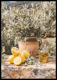 Sunny lemons and olives create Mediterranean dreams.-6