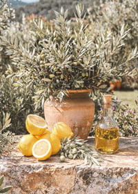 Sunny lemons and olives create Mediterranean dreams.-7