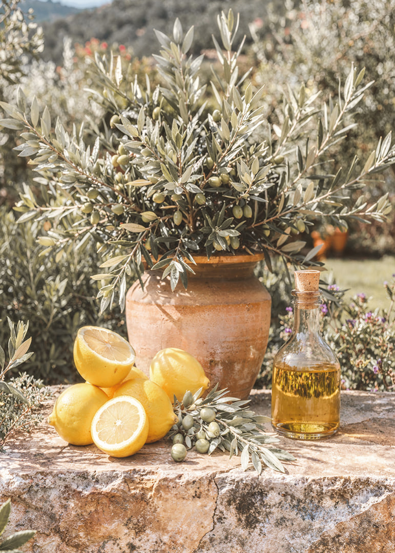 Sunny lemons and olives create Mediterranean dreams.-12