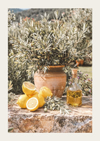 Sunny lemons and olives create Mediterranean dreams.-3