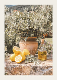 Zonnige citroenen en olijven roepen mediterrane dromen op.-3