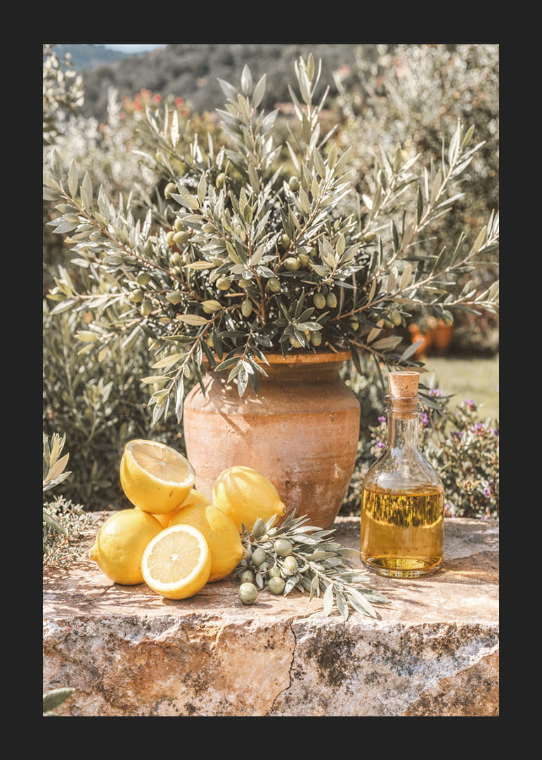 Zonnige citroenen en olijven roepen mediterrane dromen op.-12