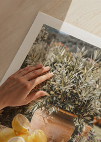 Sunny lemons and olives create Mediterranean dreams.-9