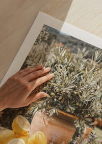 Zonnige citroenen en olijven roepen mediterrane dromen op.-9