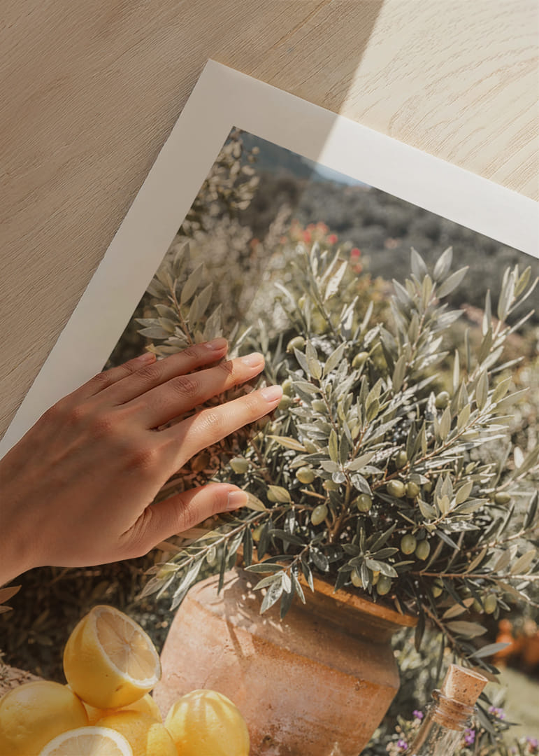 Zonnige citroenen en olijven roepen mediterrane dromen op.-12