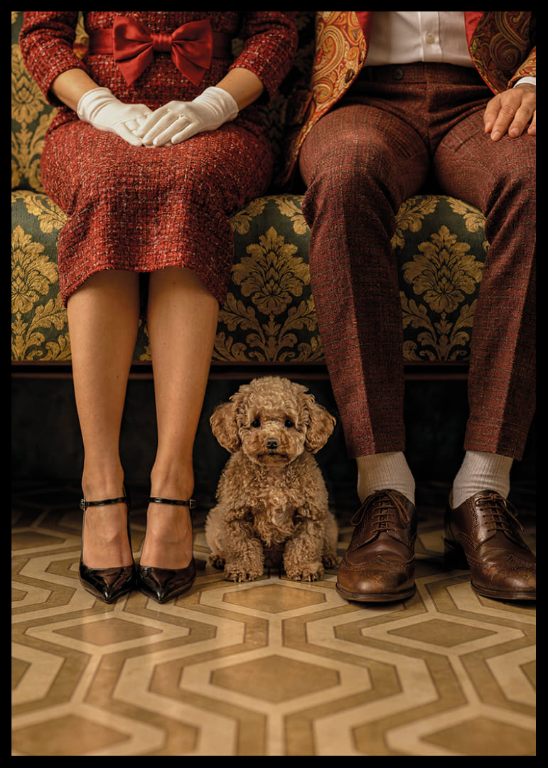 Une scène élégante avec un chien dans un décor vintage.-12