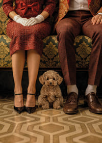 Une scène élégante avec un chien dans un décor vintage.-7