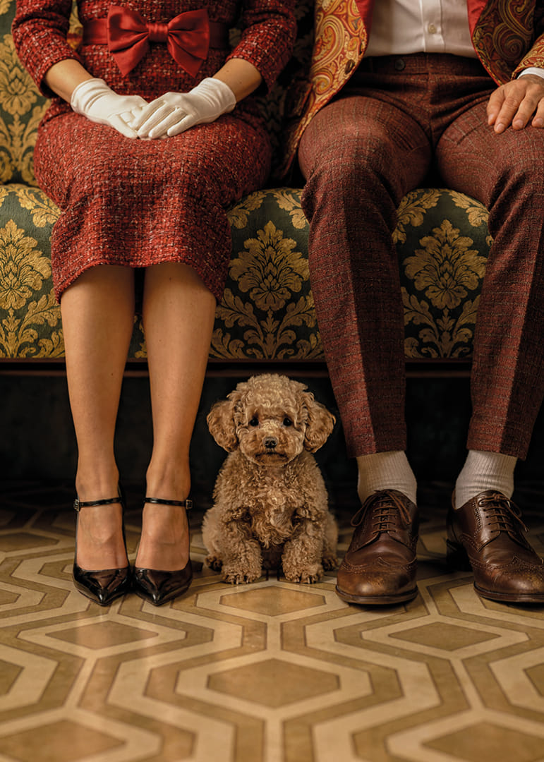 Une scène élégante avec un chien dans un décor vintage.-12