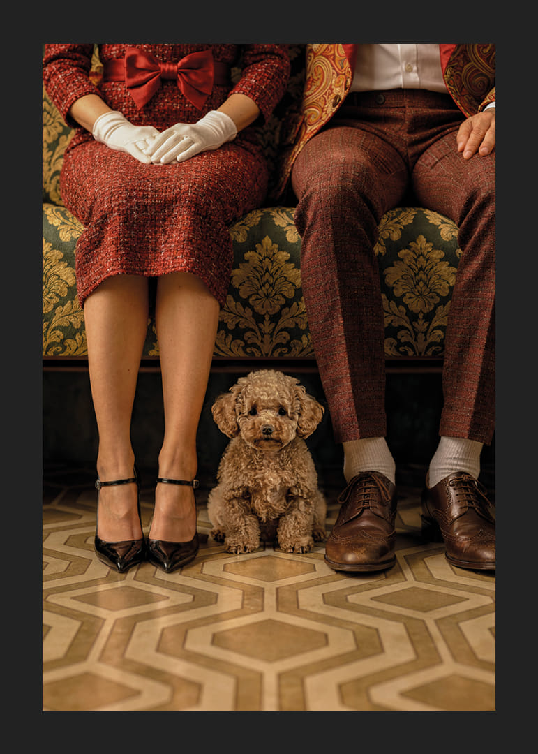 Une scène élégante avec un chien dans un décor vintage.-12