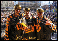 Guld-torget 2026 SM-Guld Skellefteå AIK No.3-8