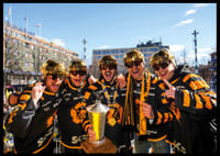 Guld-torget 2026 SM-Guld Skellefteå AIK No.4-8