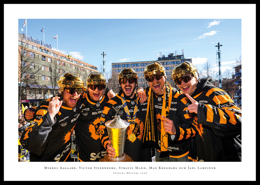 Guld-torget 2026 SM-Guld Skellefteå AIK No.4-12