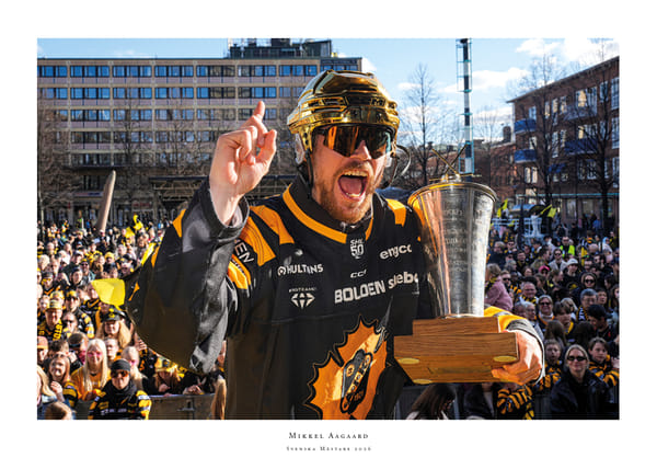 Poster Guld-torget 2026 SM-Guld Skellefteå AIK No.8