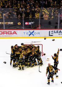 SM-Guld 2026 Skellefteå AIK No.1-9