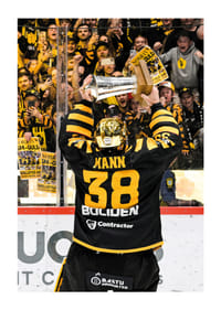 SM-Guld 2026 Skellefteå AIK No.3-3