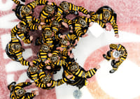 SM-Guld 2026 Skellefteå AIK No.5-9