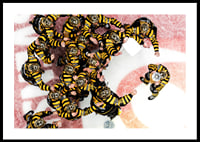 SM-Guld 2026 Skellefteå AIK No.5-2