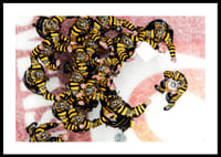 SM-Guld 2026 Skellefteå AIK No.5-2