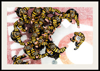 SM-Guld 2026 Skellefteå AIK No.5-4