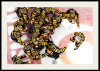 SM-Guld 2026 Skellefteå AIK No.5-4