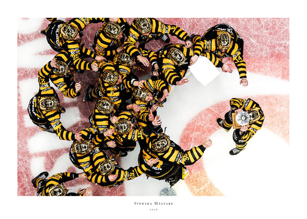 Poster SM-Guld 2026 Skellefteå AIK No.5
