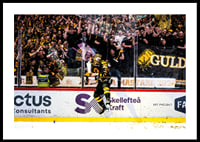 SM-Guld 2026 Skellefteå AIK No.6-2