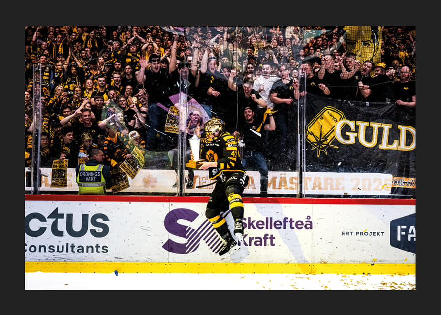SM-Guld 2026 Skellefteå AIK No.6-12
