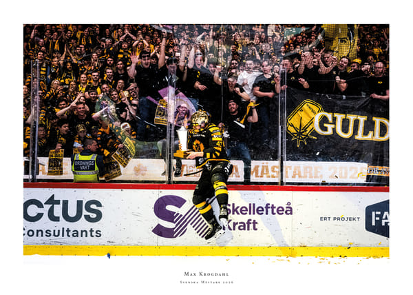 Poster SM-Guld 2026 Skellefteå AIK No.6